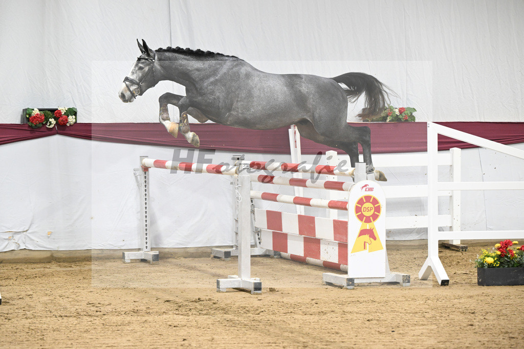 Kat-Nr. 97 Diamant De Semilly - Untouchable_Marian Mueller u Dr. Brigitte Seemann_47253176 | hf-fotografie - Realisiert mit Pictrs.com