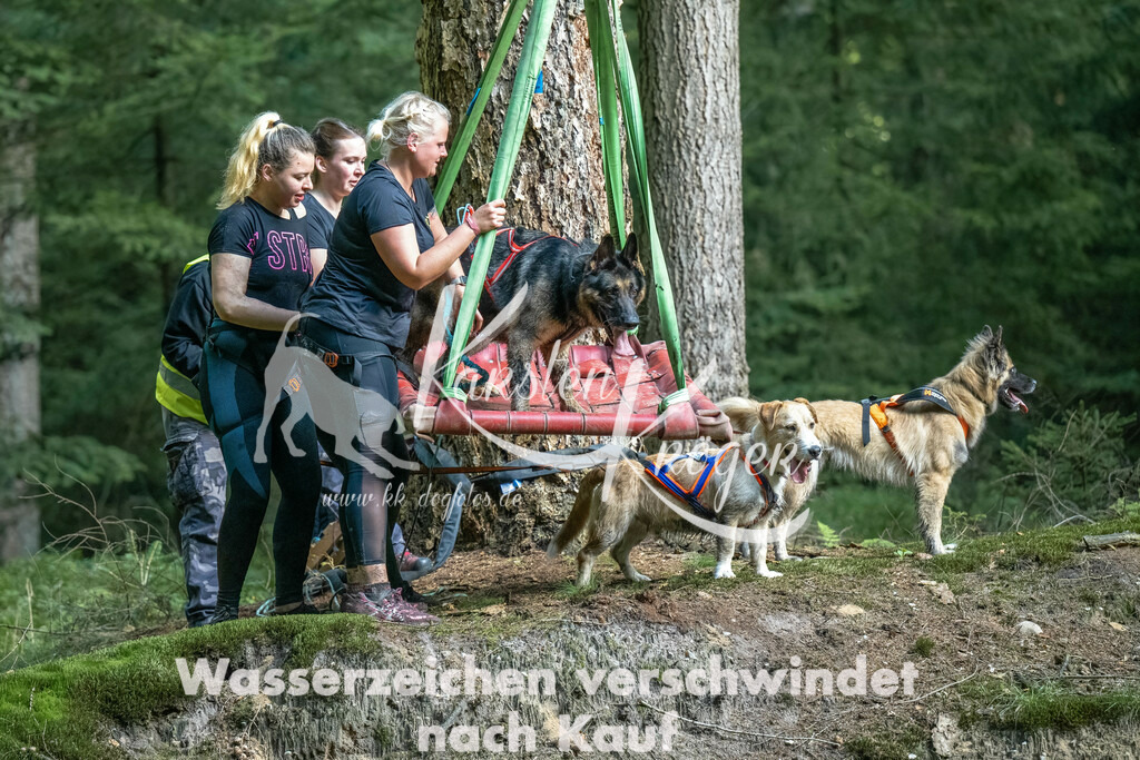 0909_ZZ90383-Bearbeitet | kk-dogfotos