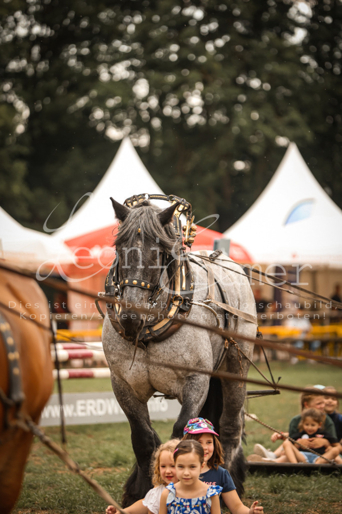 SaShow00003 | Leoni Ertmer Photography - Realisiert mit Pictrs.com