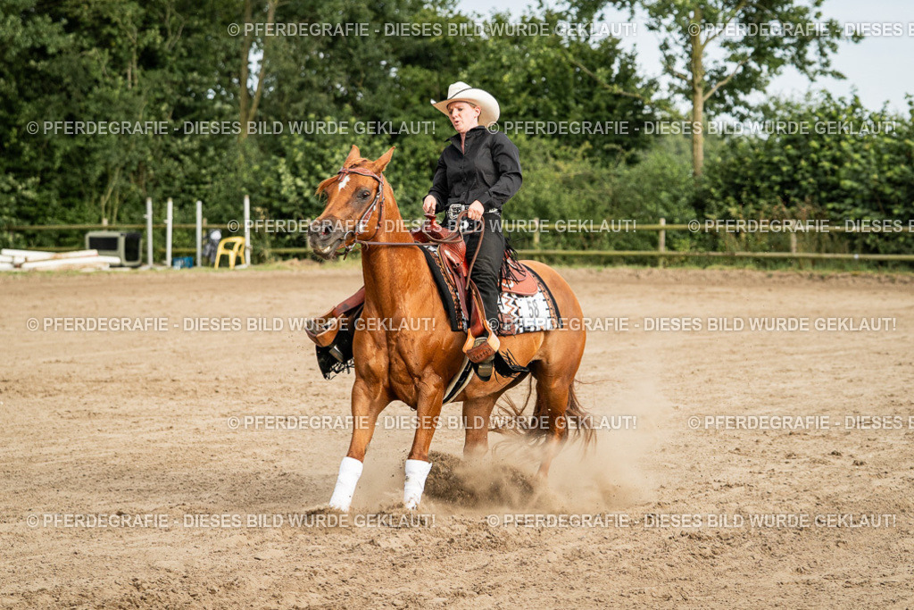 DSC05287 | Pferdegrafie