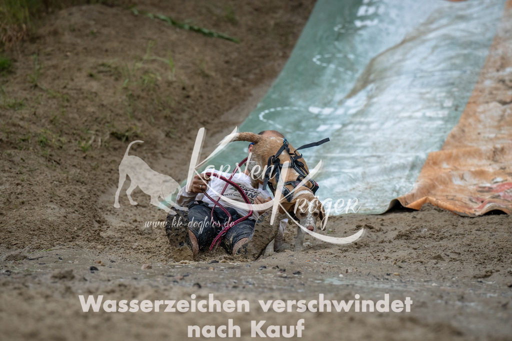 1244_ZZ94355-Bearbeitet | kk-dogfotos