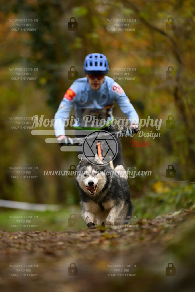 MompixPhotography_Bischwiller24_SA_VTT-90 | PayLife