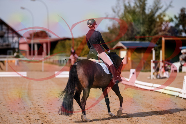 2026_10_03_Siefer-Hof_113431_Z81_79210063 | Professionelle Reitsport-, Turnier- und Eventfotografie von Robert Broda. Galerien mit ausgewählten und bearbeiteten Bildern direkt online ansehen und bestellen.