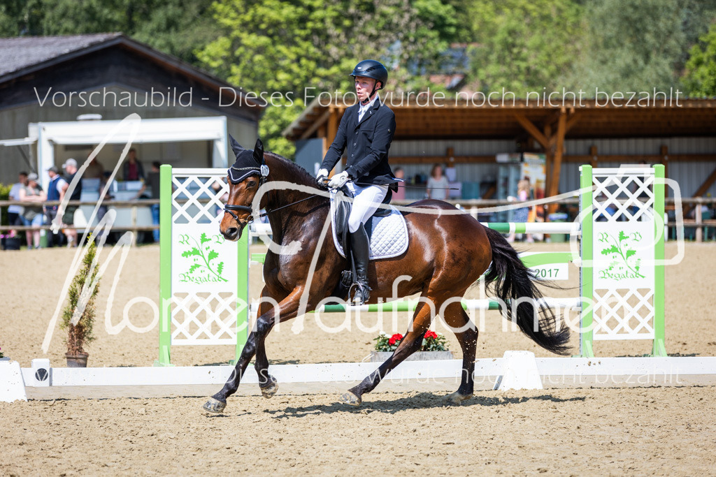 Donop24-L-Dre-073 | MomenTaufnahmen Pferdesportfotos