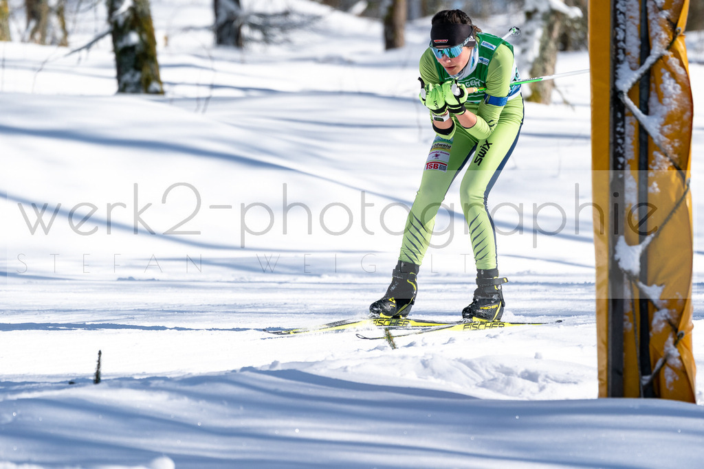 DSC Altenberg | Deutscher Schülercup in Altenberg vom 11. bis zum 13. Februar 2022