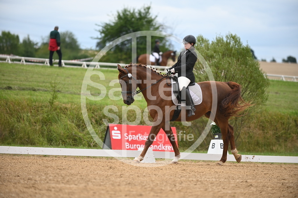 DSC_4470 | sattelsport - Realisiert mit Pictrs.com