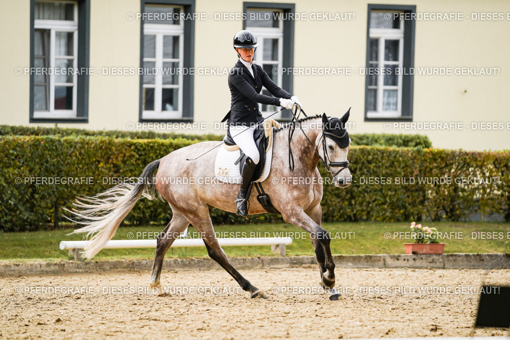 DSC01441 | Pferdegrafie