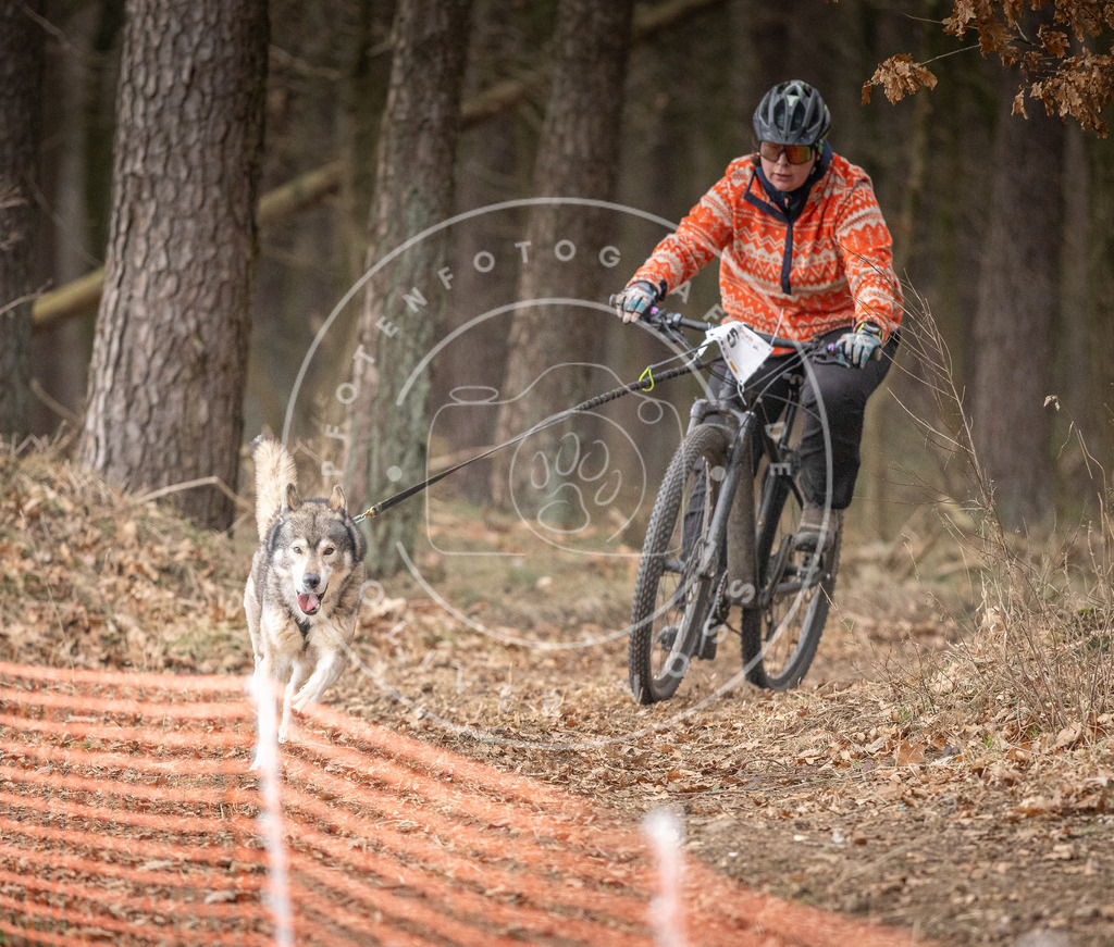 Pfotenfotografie_DV3A1651 | Hundefotografie, Tierfotograf, Pfotenfotografie, Fotoshooting Hund, Hunde Portrait, Hundesport, Hundeportraits, Heideshooting, Hunde, Sportfotograf, Hundefotograf, Turnierhundsport, THS,  - Realisiert mit Pictrs.com