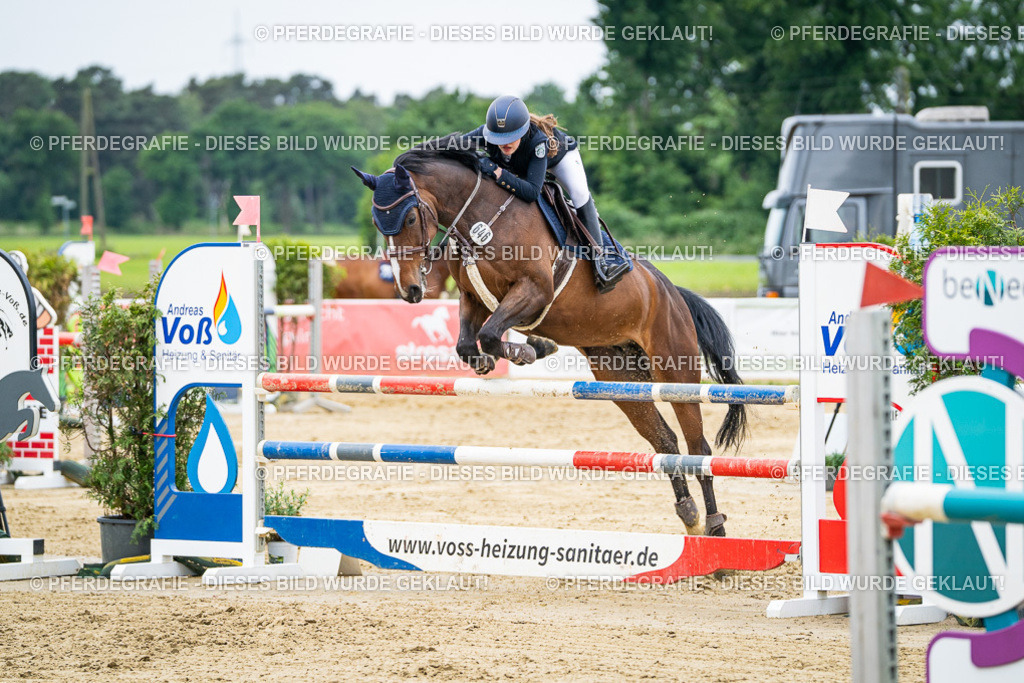 DSC06216 | Pferdegrafie