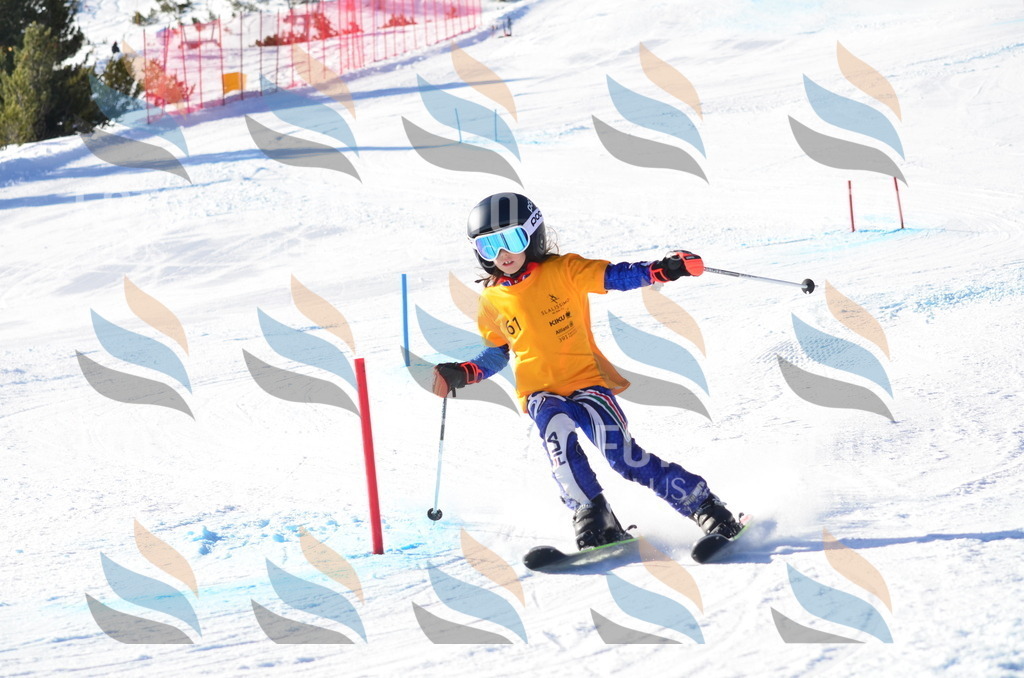 C5801 | holidayphoto