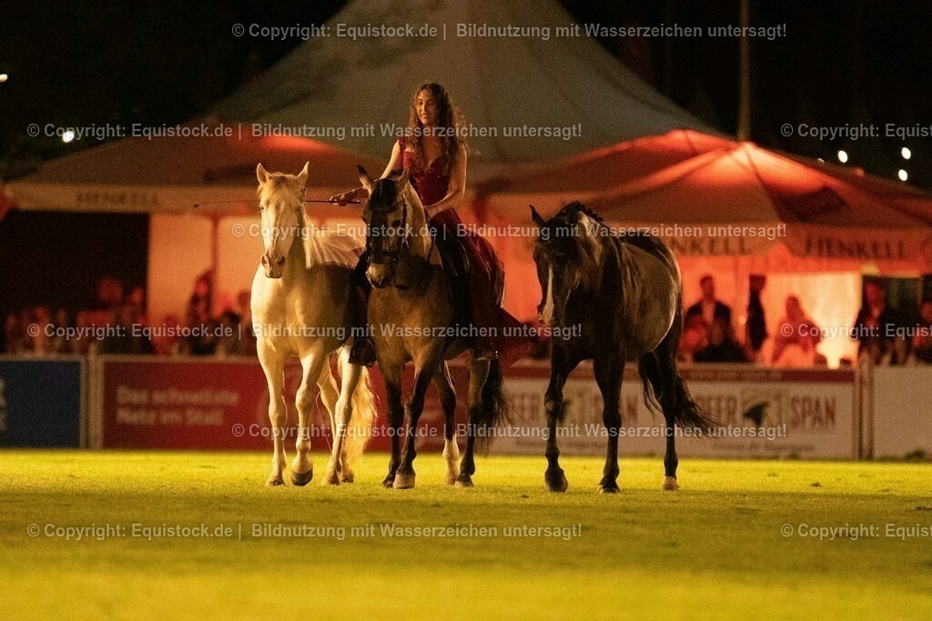 20230526_Pferdenacht_1515 | equistock