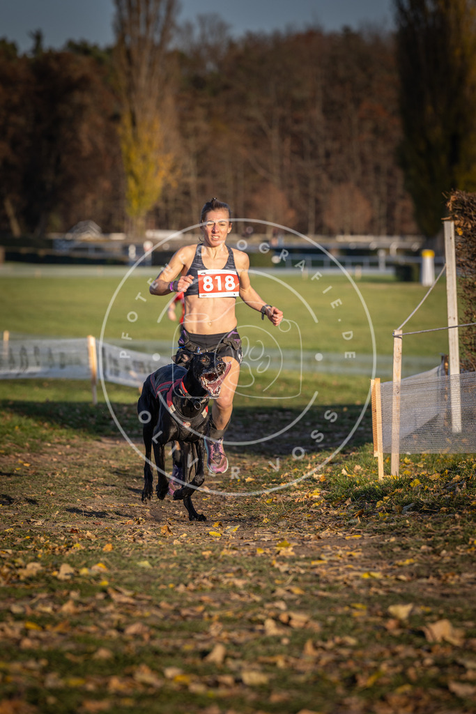 CaniXpix_DV3A3172 | Hundefotografie, Tierfotograf, Pfotenfotografie, Fotoshooting Hund, Hunde Portrait, Hundesport, Hundeportraits, Heideshooting, Hunde, Sportfotograf, Hundefotograf, Turnierhundsport, THS,  - Realisiert mit Pictrs.com