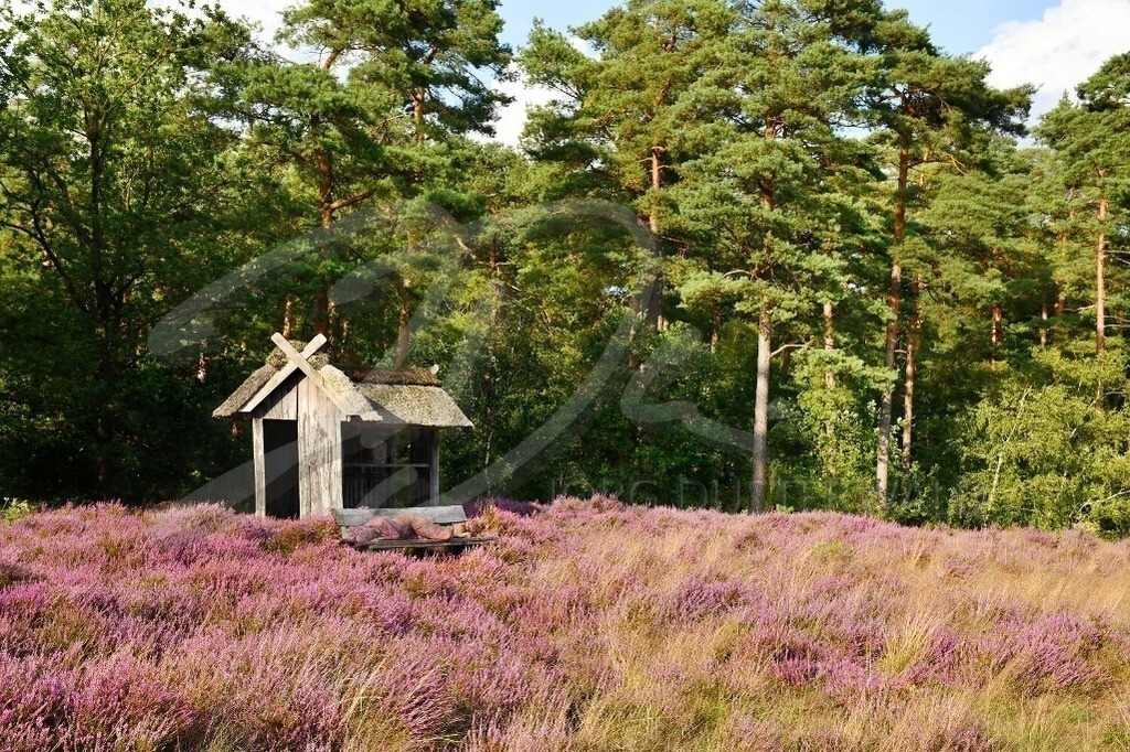 NatureArt-LILAHEIDE_2041 | Gemütlich auf der Bank | #001 | Modell: Katey | Foto: Carsten Korwes - Realisiert mit Pictrs.com