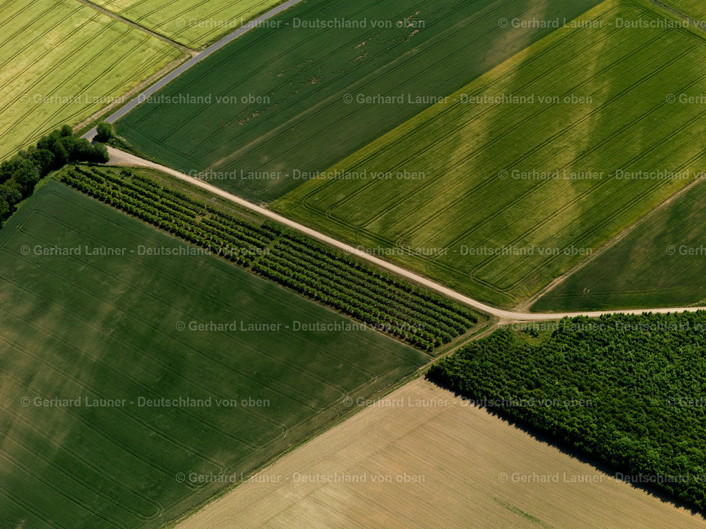 Feldstrukturen-Düngenheim-3114202 | Feldstrukturen bei Düngenheim