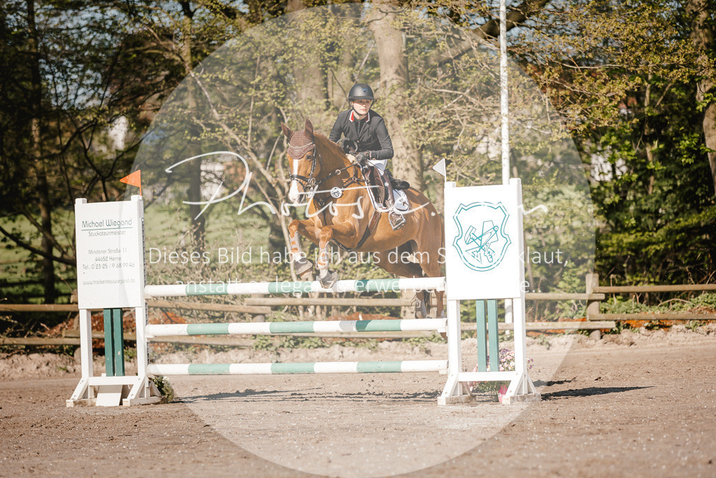 3I6A3599 | Stimmungsvolle Portraits und Reitsportfotografie im Ruhrgebiet und im Münsterland.

Pferdefotografie, Hundefotografie, Tierfotografie, Reportagen, Portraits von Tier und Mensch, Turnierfotografie in Bochum, Recklinghausen, Marl, Haltern am See, Dülmen.. - Realisiert mit Pictrs.com