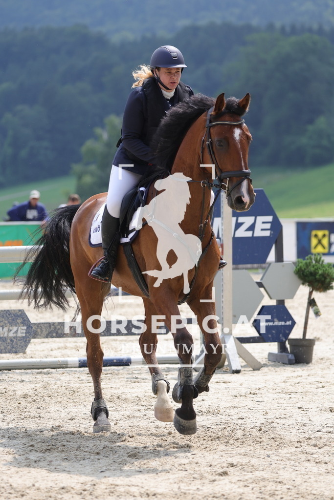 0P6A4783 | Willkommen bei Brunnmayr - Design & Fotografie – Ihrem Spezialisten für Reitturniere und Pferdeveranstaltungen in Oberösterreich, Salzburg und Bayern! Seit über 17 Jahren sind wir leidenschaftlich dabei.