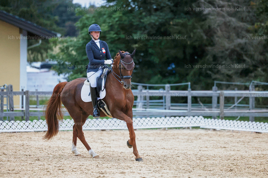 04_2-227-Dressur M__ -StoibPH-3014 | working equitationturnier fotograf videograf stoibphotography marixx film working equitation deutschland reitsport turnierfotografie eventfotografie equestrian events