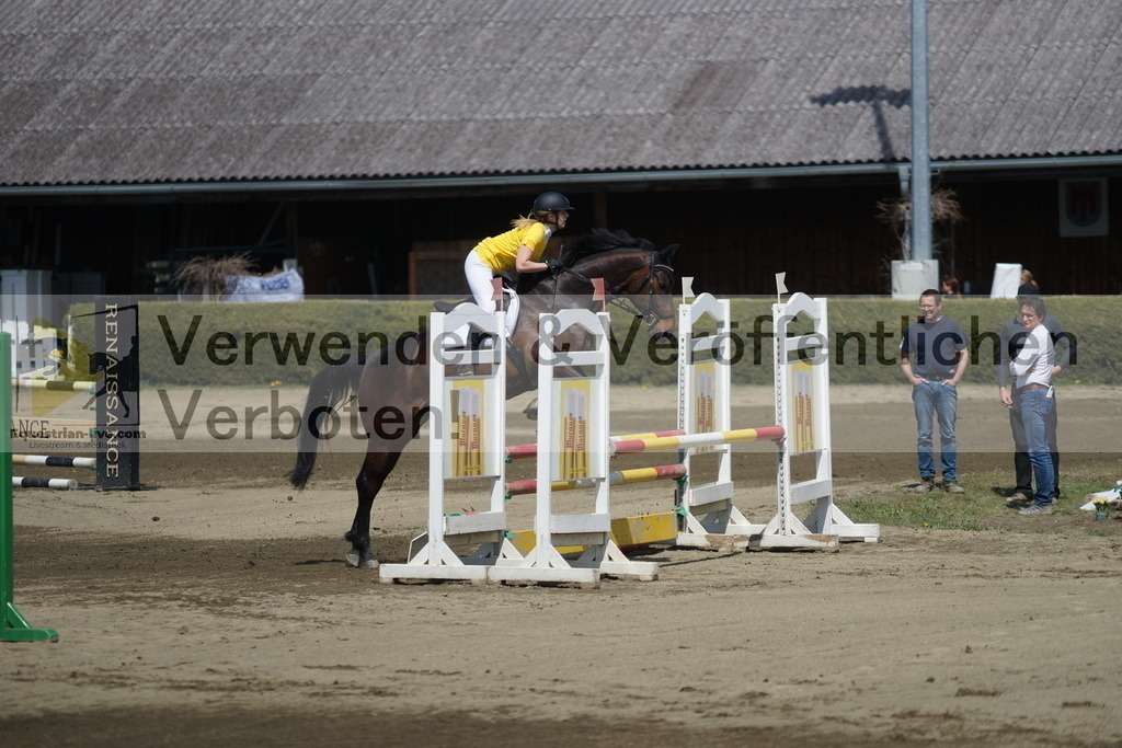 DSC02811 | equestrian-live-com