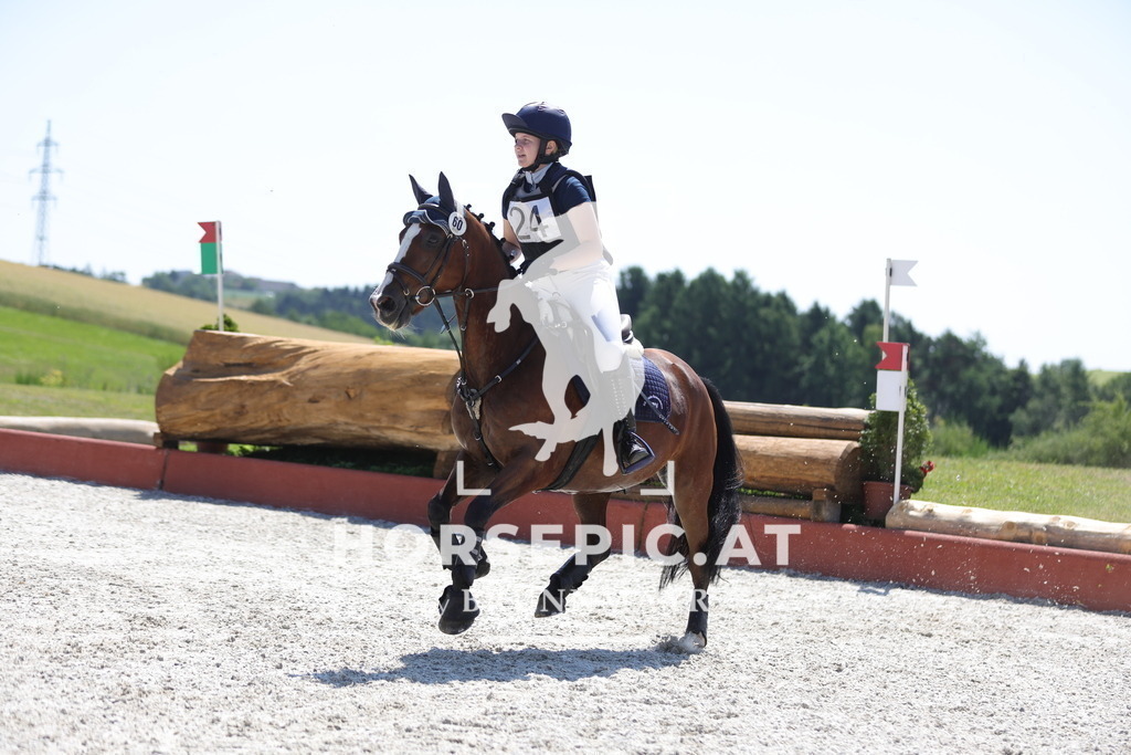 0P6A3506 | Willkommen bei Brunnmayr - Design & Fotografie – Ihrem Spezialisten für Reitturniere und Pferdeveranstaltungen in Oberösterreich, Salzburg und Bayern! Seit über 17 Jahren sind wir leidenschaftlich dabei.