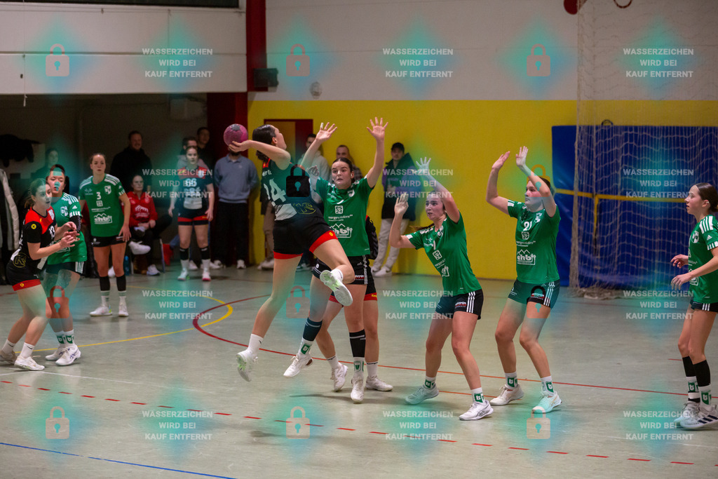 _HP_4773_3000o | TV Welling Damen vs. TV Bassenheim 05.01.2024