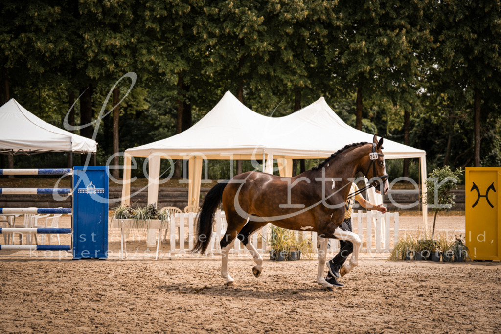 3.Fr00183 | Leoni Ertmer Photography - Realisiert mit Pictrs.com