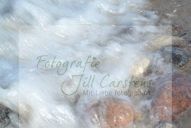 DSC_0287 | fotografie-jill-carstens