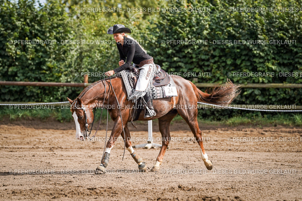 DSC09676 | Pferdegrafie