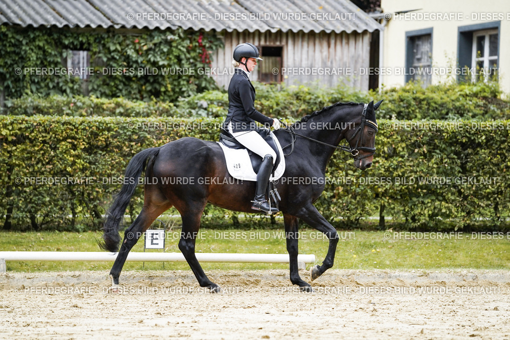 DSC07161 | Pferdegrafie