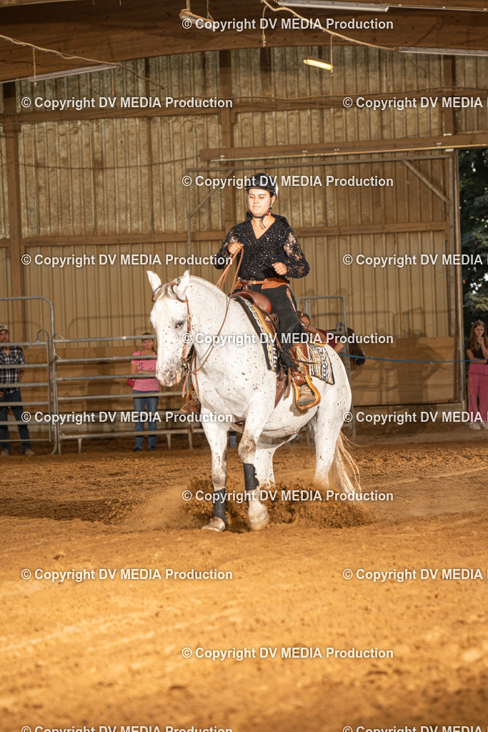 NID03961 | dv-media-shop - Realisiert mit Pictrs.com