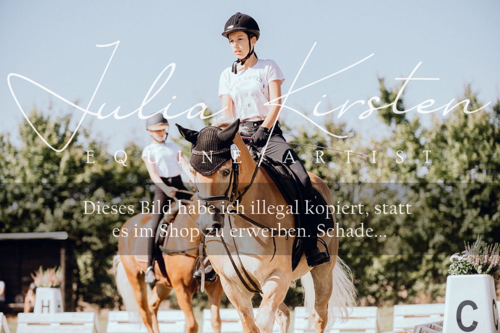 DSC_7218 | Pferde- und Turnierfotografie in Westsachsen. Pferdeportraits, Auftragszeichnungen und intuitive Kunst.