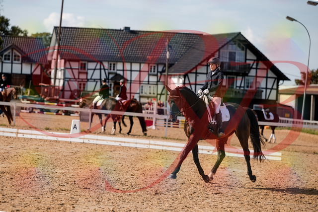 2026_10_03_Siefer-Hof_133618_Z63_96663886 | Professionelle Reitsport-, Turnier- und Eventfotografie von Robert Broda. Galerien mit ausgewählten und bearbeiteten Bildern direkt online ansehen und bestellen.