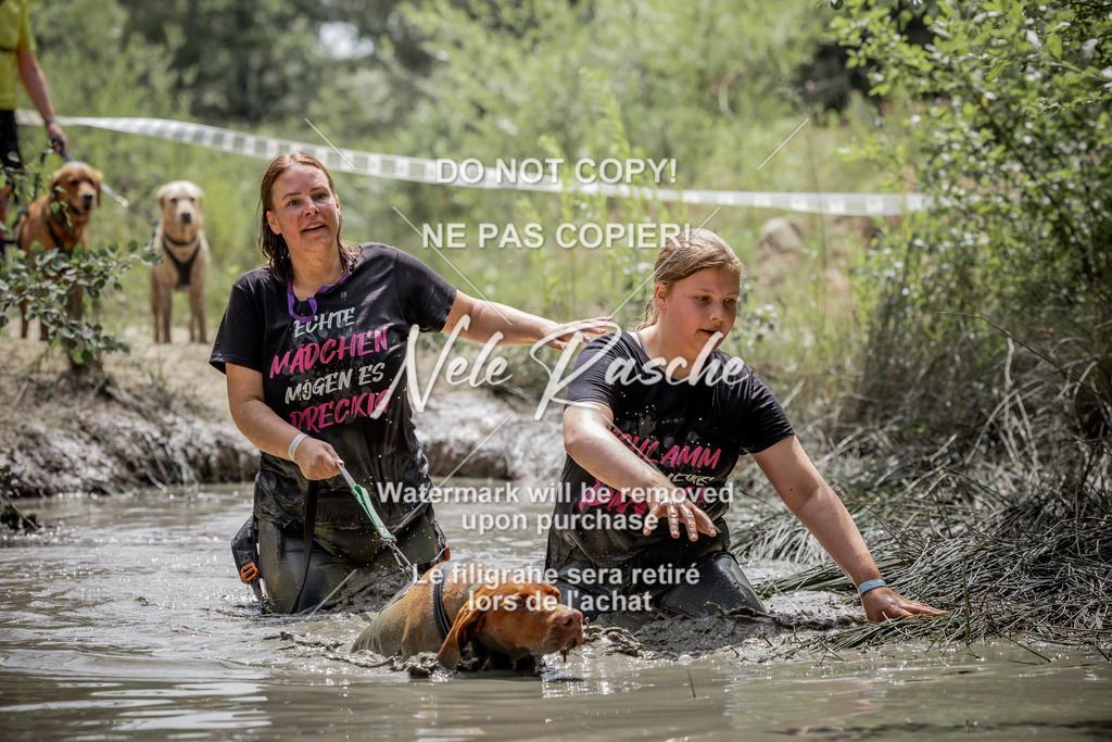 nelerasche_so1300-1330_304 | nelerasche