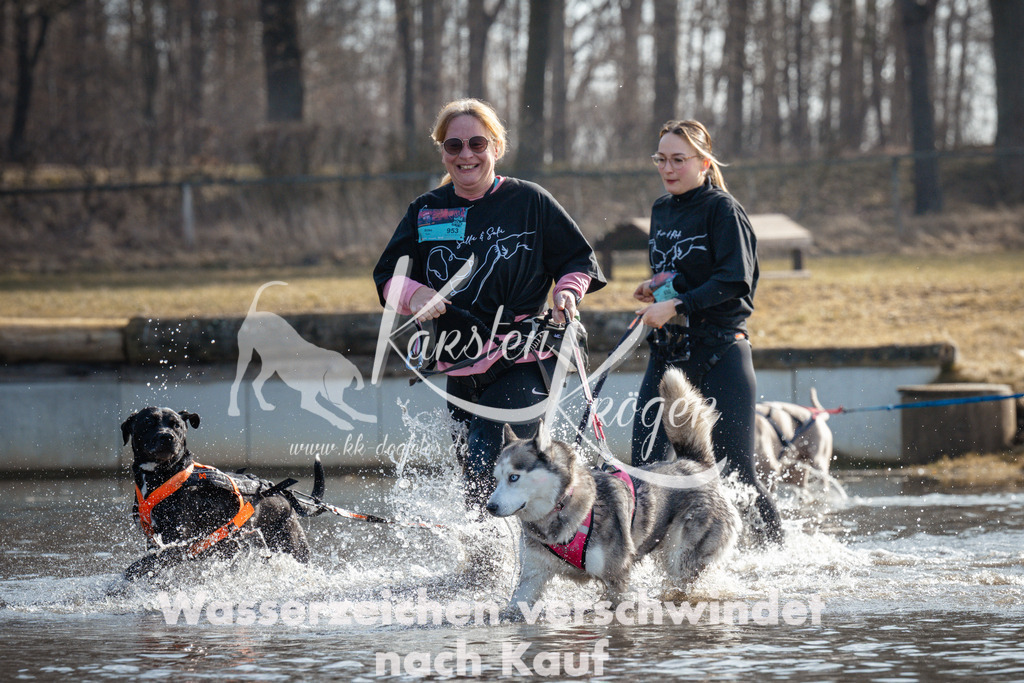 1103_ZZ91860 | kk-dogfotos