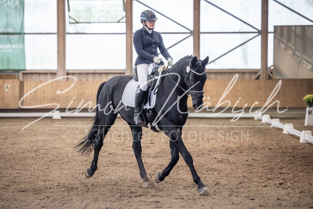 20251011-_3LI0374 | Tierfotografie Pferde, Hunde, Katzen, Haustiere.
Turnierfotografie Reitturniere, Reiten, Springreiten, Dressur in Hanau, dem Main-Kinzig-Kreis und dem Rhein-Main- Gebiet um Frankfurt
