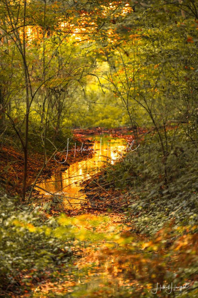 DSC03673 | Landschaftsfotografie, Naturfotografie - Realisiert mit Pictrs.com
