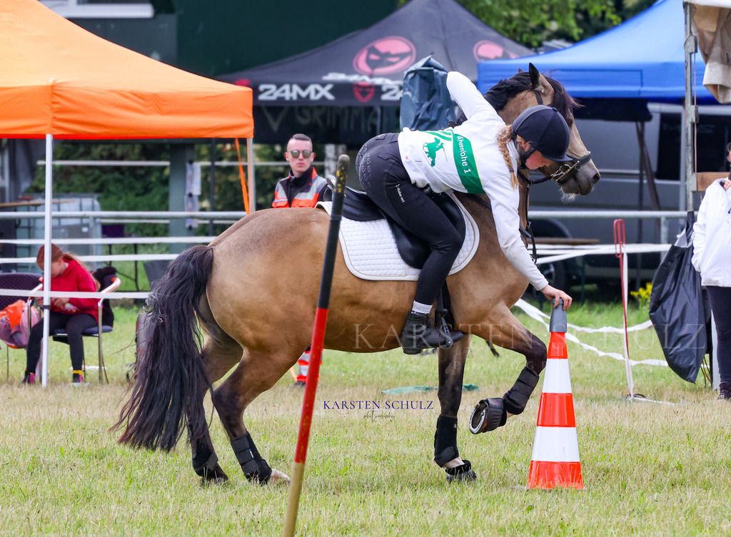 1B3A4542 | Reitsport Reiten