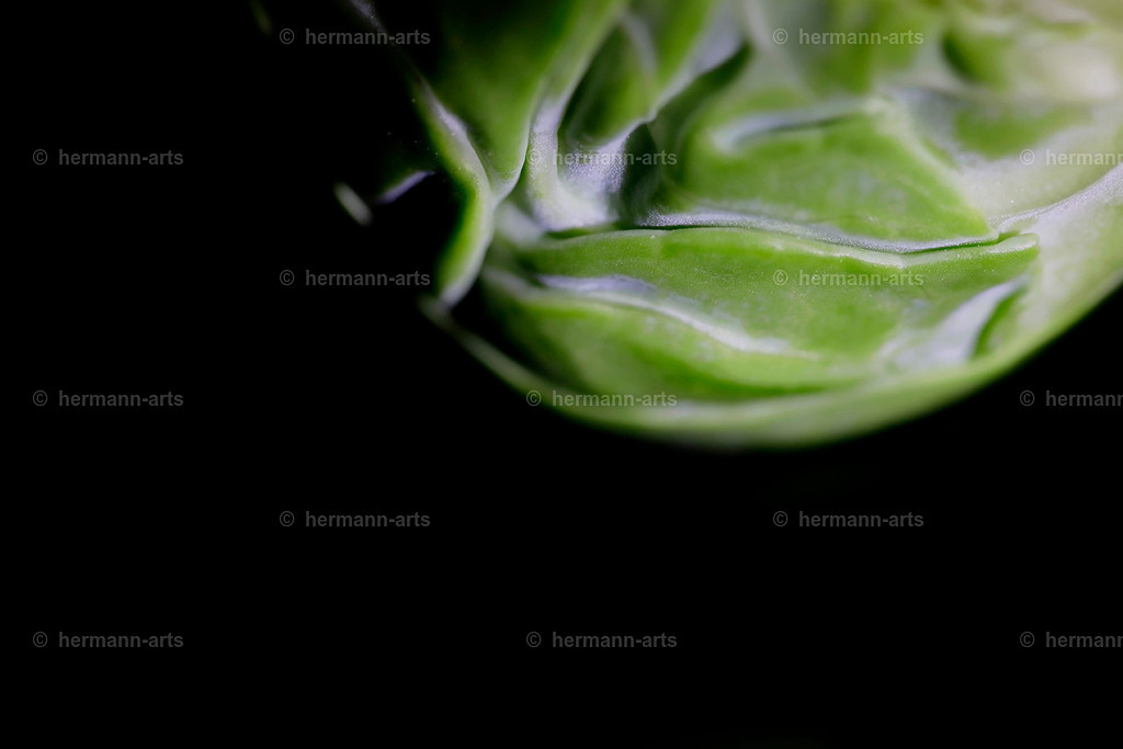 Fruits-Art-012 | Photo Foto Kunst Art schwarzweiss Bilder Rheine Münster Berlin Blumen 