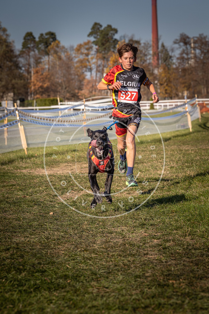 CaniXpix_0L8A7246 | Hundefotografie, Tierfotograf, Pfotenfotografie, Fotoshooting Hund, Hunde Portrait, Hundesport, Hundeportraits, Heideshooting, Hunde, Sportfotograf, Hundefotograf, Turnierhundsport, THS,  - Realisiert mit Pictrs.com