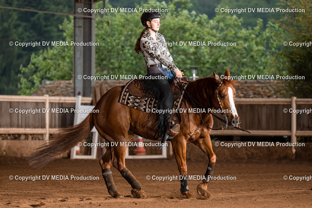 Erbach Tag 3-870 | dv-media-shop - Realisiert mit Pictrs.com