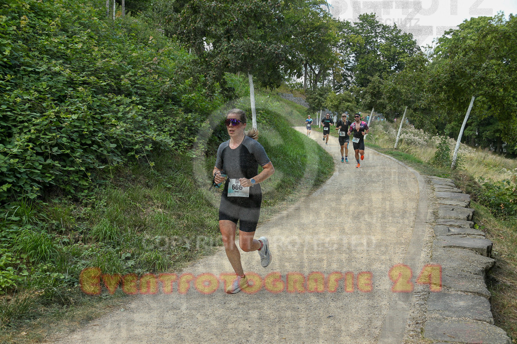 250824_1433_EX1_6603 | Sportfotografie im Rhein-Sieg Kreis, Köln, Bonn, NRW, Rheinland Pfalz, Hessen, etc. Unser Tätigkeitsfeld umfasst den Laufsport vom Volkslauf über den Marathon, Duathlon, Triathon bis zum Ultralauf wie Kölnpfad Ultra oder Schindertrail.