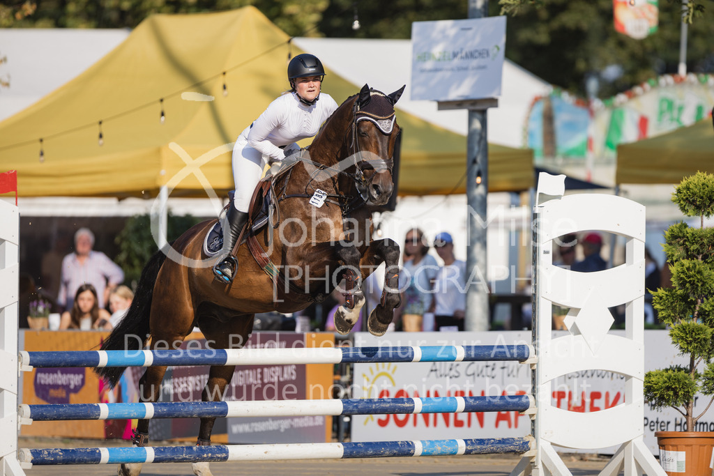 230823_Delbrueck_Stil-A1-110 | Deine schönsten Turniermomente als professionelle Fotos! Entdecke hochwertige Pferdesport-Fotografie im Online-Shop. Jetzt Fotos finden & bestellen!
