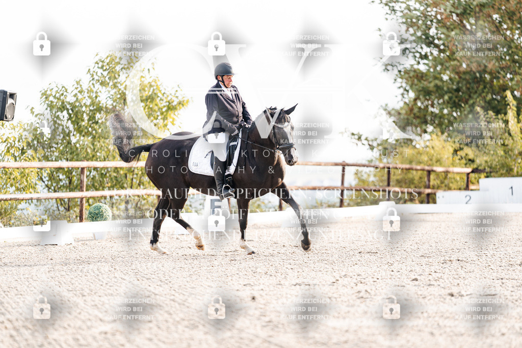 CK900279 | Turnierfotografie Pferdefotografie Trier Rheinland-Pfalz Pferdesport Reitsport Tierfotografie Sportfotografie Pferdevideo Pferdevideografie Equestrianvideography equestrianphotography  - Realisiert mit Pictrs.com