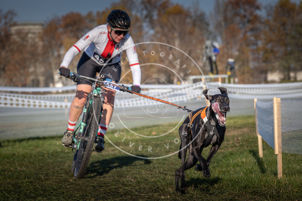 CaniXpix_0L8A4463 | Hundefotografie, Tierfotograf, Pfotenfotografie, Fotoshooting Hund, Hunde Portrait, Hundesport, Hundeportraits, Heideshooting, Hunde, Sportfotograf, Hundefotograf, Turnierhundsport, THS,  - Realisiert mit Pictrs.com