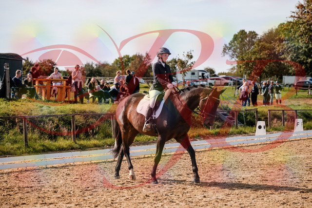 2026_10_03_Siefer-Hof_133647_Z63_98133997 | Professionelle Reitsport-, Turnier- und Eventfotografie von Robert Broda. Galerien mit ausgewählten und bearbeiteten Bildern direkt online ansehen und bestellen.