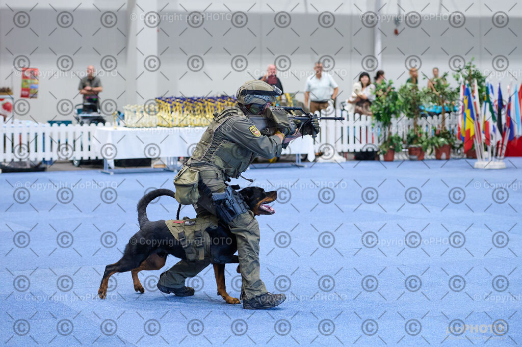 202406_ÖKV-IHA-Tulln24_DSC_2743 | proPHOTO - Realisiert mit Pictrs.com