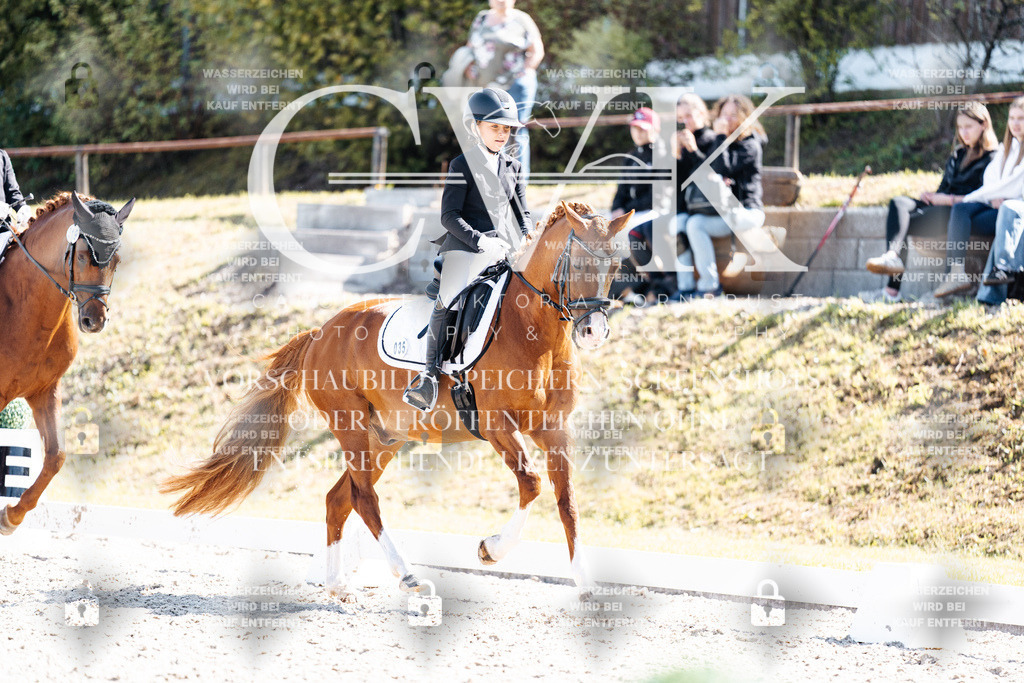 CK903104 | Turnierfotografie Pferdefotografie Trier Rheinland-Pfalz Pferdesport Reitsport Tierfotografie Sportfotografie Pferdevideo Pferdevideografie Equestrianvideography equestrianphotography  - Realisiert mit Pictrs.com