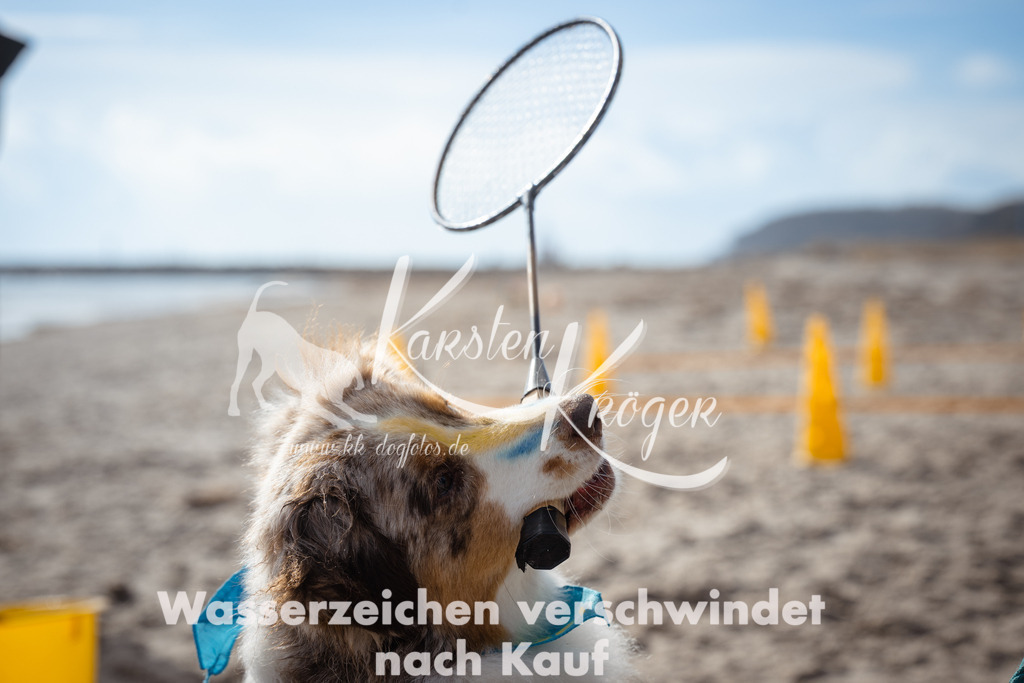 1241_ZZ98248 | kk-dogfotos