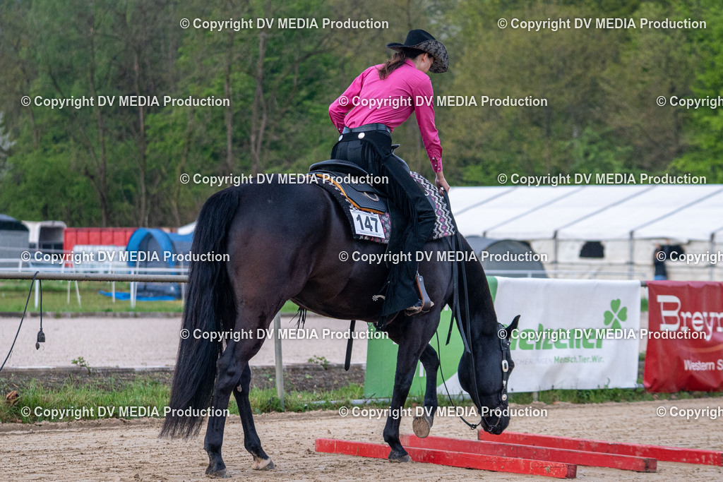 Heiligenwald Tag 1-48 | dv-media-shop - Realisiert mit Pictrs.com