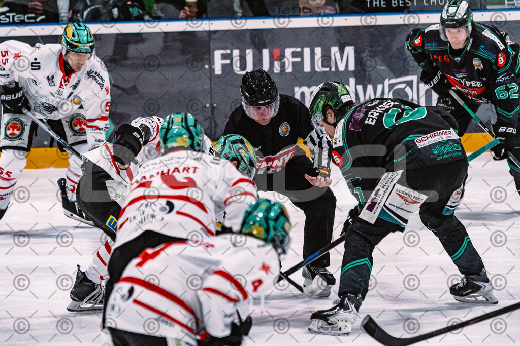 Alligators_vs_Toelz_15_02_2026-23 | Höchstadt Alligators Fotogalerie: Eishockey-Action aus Franken. Professionelle Spielfotos, Portraits & Stadionbilder zum Download. Jetzt entdecken! - Realisiert mit Pictrs.com