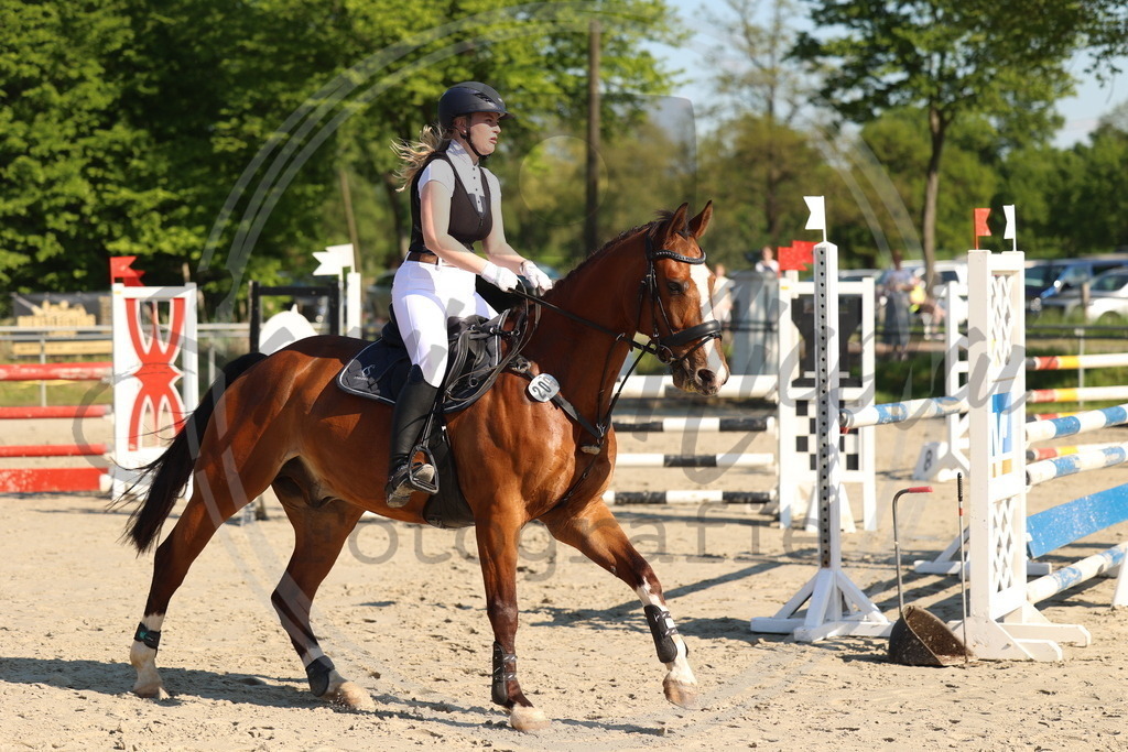 994A6165 | sabrinanicolaifotografie - Realisiert mit Pictrs.com